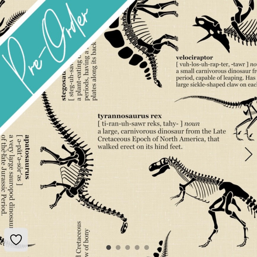 PRE-ORDER Water-resistant wet bags - Dino Definitions (iwi Designs)