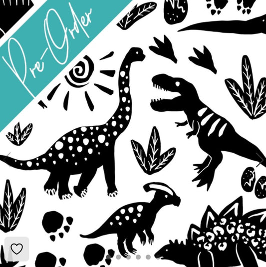 PRE-ORDER Water-resistant wet bags - Monochrome Abstract Dinos (Ladybird and Roar)
